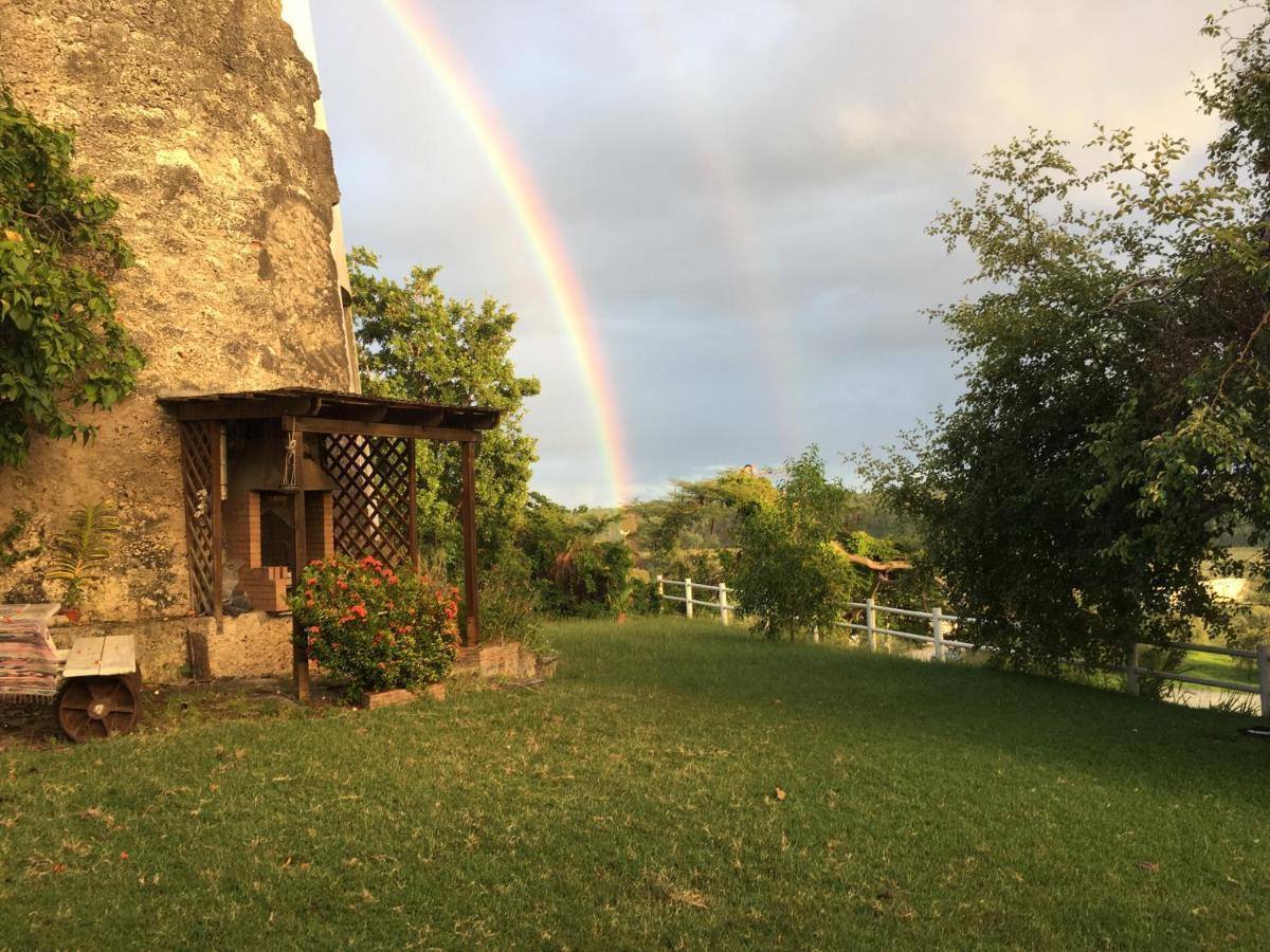 Villa Du Moulin De Saint Felix Le Gosier  Eksteriør billede